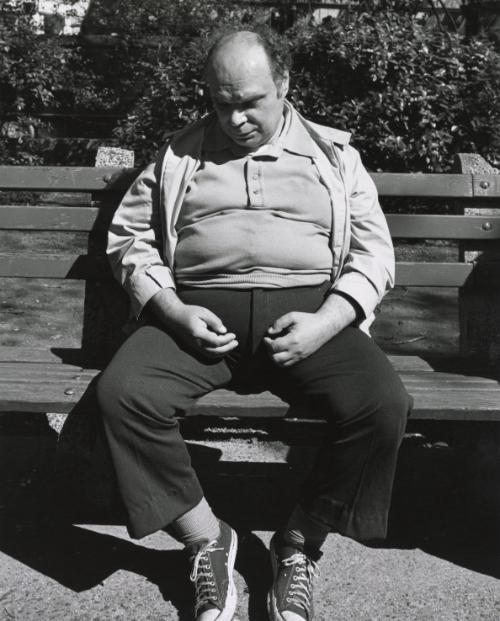 Man Napping Upright on Bench, New York