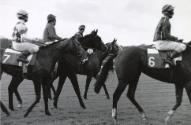 From Paddock to Post, Hippodrome Saint-Cloud, from the series "Racing Days"