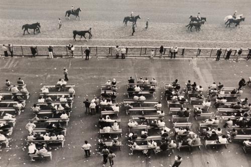 Bringing Them Up, Keeneland, Lexington, KY, from the series, "Racing Days"