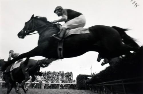 Last Fence, Fair Hill