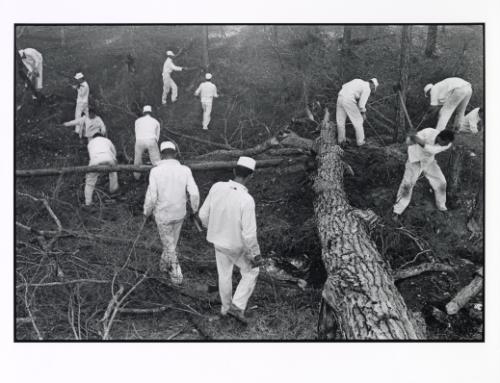 Clearing land, from the series "Conversations with the Dead"