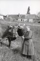 Farmer and her Cattle, France