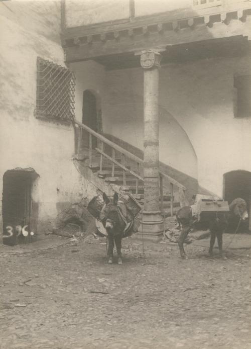 Patio scene with donkeys