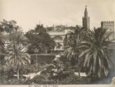 Sevilla - Jardin de l' Alcazar