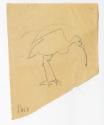 Sketch of ibis