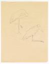 [Bird Sketch]