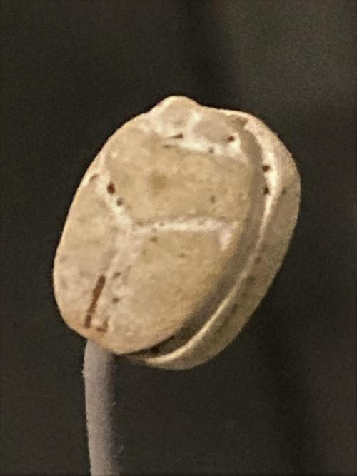 Scarab bead