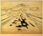 Desert Forms
