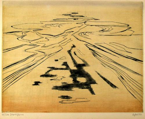 Desert Forms