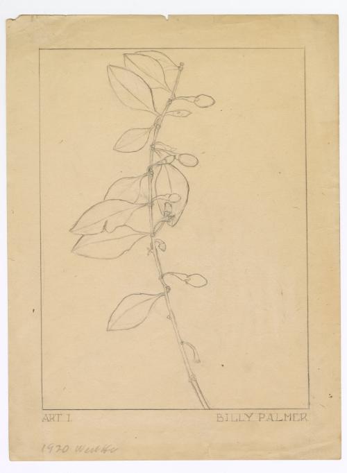 (branch with buds)
