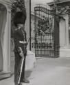 Londres: Buckingham Palace, La Garde (London: The Guard, Buckingham Palace)