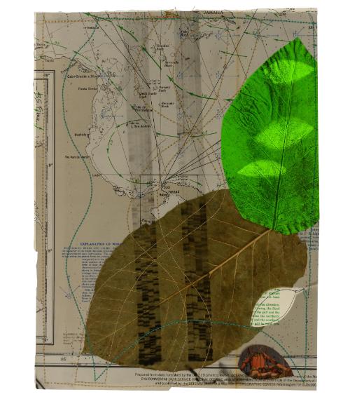 © Sally S. Fine. Photo by Mark DiOrio.