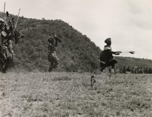 Zulu warriors dancing, South Africa, 1953