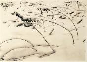 Untitled from the "Root Glen and Kirkland Glen" series