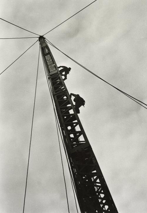 © David Grant Noble.