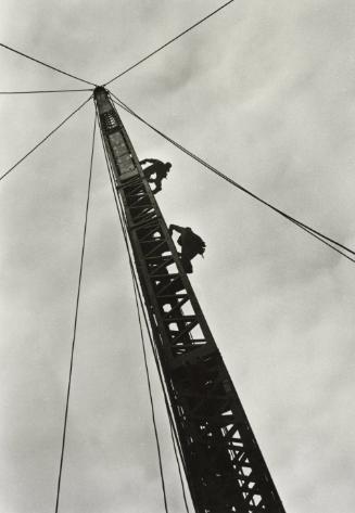 © David Grant Noble.