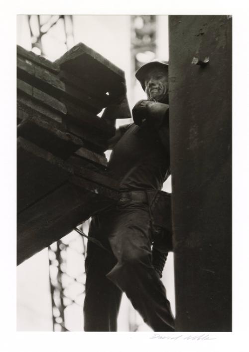 © David Grant Noble.