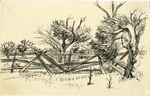 Untitled [trees and fence]