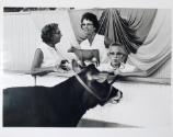 4-H Fair, Iowa