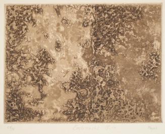 Ecclesiastes IX:10 from the series "Etchings from Ecclesiastes"