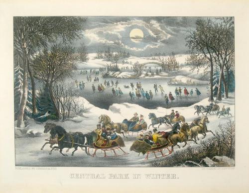 Central Park in Winter